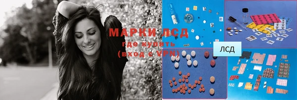 индика Балабаново