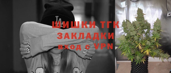 индика Балабаново