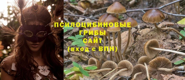 индика Балабаново