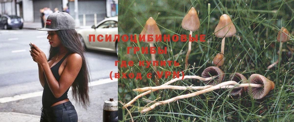 индика Балабаново