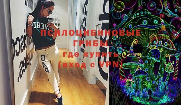 индика Балабаново