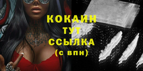 индика Балабаново