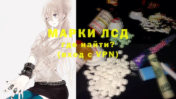 индика Балабаново