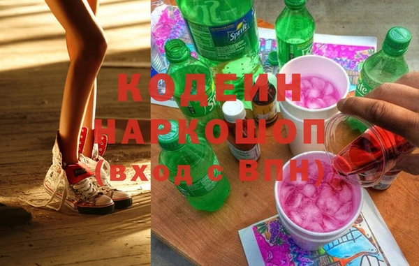 индика Балабаново